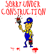 Gif of a painter waving a paintbrush under the text "SORRY UNDER CONSTRUCTION"